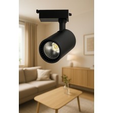 30W 6500K Beyaz Işık Siyah Paris LED Ray Spot