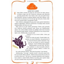365 Günde Sevgili Peygamberim - Nurdan Damla