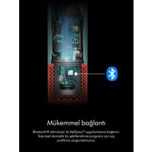 Dyson Airwrap I.D.™ Saç Şekillendirme Ve Kurutma Seti Kıvırcık+Bukleli (Jasper Plum)