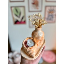 Taş Tozu Kalıbında 3lü Mum Seti, Soya Wax Mum