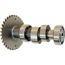 Motolider Eksantrik Mili Kymco Agility 125