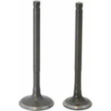 Rmg Emme Egzoz Sübap Takımı Mondial Revival