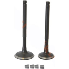 Rmg Emme Egzoz Sübap Takımı Tırnaklı Arora Special Alfa