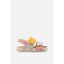 Bebe Phylon Sandalet