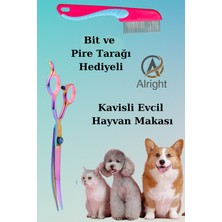 Kavisli Rainbow Profesyonel Evcil Hayvan Kedi ve Köpek Tasarım Makası Bit ve Pire Tarağı Hediyeli