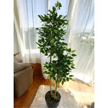 Yapay Bambu Ağaç Benjamin 150  cm  