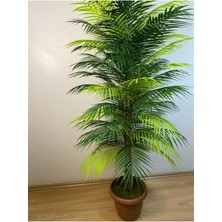 Yapay Areka Palmiyesi Ağaç 170  cm