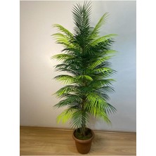 Yapay Areka Palmiyesi Ağaç 170  cm