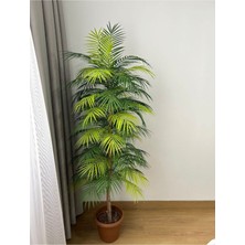 Yapay Areka Palmiyesi Ağaç 170  cm