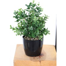 Yapay Yoğun Yaprakli Okaliptus Saksılı 25  cm