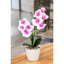 Dekoratif 2li Mini Yapay Islak Orkide Tanzimi Fuşya-Beyaz 40  cm