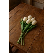 5’li Islak Beyaz Lale Demeti