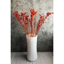 Turuncu Renkli Keten Otu Luna Süslük Vazoluk Aranjman Çiçeği