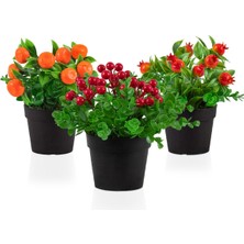 3’lü Set Siyah Mini Plastik Saksıda Yapay Mandalina, Kokina ve Nar Çiçeği