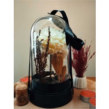 Çiçek Arajman Özel Tasarım Ters Mika Cam Fanus,peri LED Işıklı Çiçek Tasarım Fanus Hediyelik Çiçek