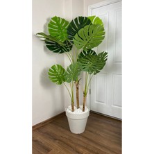 Yapay Ağaç Monstera Bambu Gövdeli 150 cm  Devetabanı Ağacı Büyük Boy Kırıkbeyaz Renk Yalı Saksıda