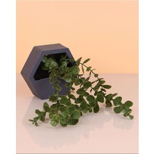 1 Adet Küçük Altıgen Okaliptüs Duvar Süsü Yapay Çiçek