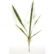 Yapay Peygamber Kılıcı Bitkisi 5 Yapraklı 68  cm