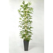 Yapay Çiçek Bambu Salon Ağacı Bitkisi Ahşap Saksıda Yoğun Dolgun Yapraklı 170  cm