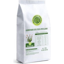 Glutensiz Fabrika Karnıyarık Otu Tozu (Psyllium) 300 gr