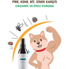 Botanivo Köpekler İçin Pire & Kene Karşıtı Sprey | Kovucu, Koruyucu, Önleyici | Organik İçerikli | 2x125 ml
