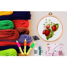 Punch Seti Nakış Seti Kasnaklı Kendin Yap Seti Seri 8