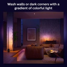 Philips Hue Gradient Signe Masa Lambası - Siyah