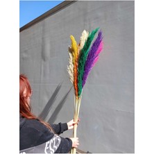 Jumbo Büyük Dev Pampas