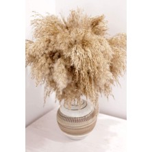 Pampas Otu Dekoru Uzun 10 Adet, 100 cm  Boyundan Pampas Otu Zemin Vazo Için,