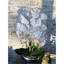 Gümüş Metal Saksıda 2'li Beyaz Islak Orkide