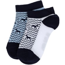 U.S. Polo Assn. Erkek Çocuk 2'li Patik Çorap 50311350-VR013