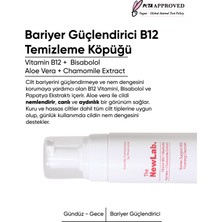Bariyer Destekleyici B12 Temizleme Köpüğü