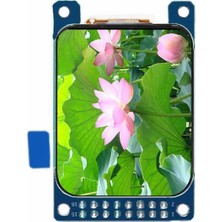 Alkatronik 1.69 Inç LCD Tft Modül Yuvarlak Köşe ST7789V2 16 Pin Spı 8080 Paralel 240X280 Piksel Akıllı Saat