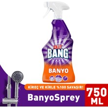 Cillit Bang Banyo ve Mutfak Temizleyici Yağ Çözücü & Kireç Sökücü Sprey 2'li Set (2x750 ml)