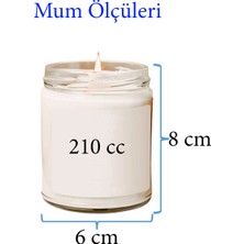 Doğal Özel Seri Kokulu Dekoratif Kavanoz Mum 210 cc - Çam Esansı - Ryl