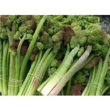 Canlar Işkın 1 kg