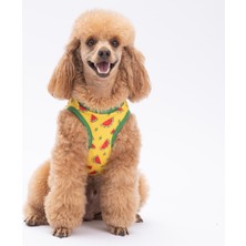 Watermelon Kedi Köpek Tişörtü - Kedi Köpek Kıyafeti