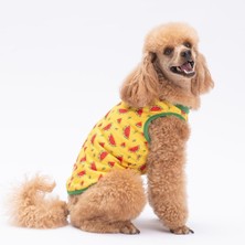 Watermelon Kedi Köpek Tişörtü - Kedi Köpek Kıyafeti