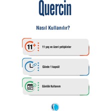 Fitozomal Quercetin 60 Bitkisel Kapsül