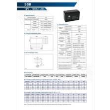 Ssb Jel Akü 12V 100 Ah