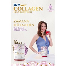 Wellcare Collagen Multi Boost Plus Nar Aromalı 345 G Toz