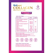 Wellcare Collagen Multi Boost Plus Nar Aromalı 345 G Toz
