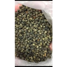 Doğa Nimeti Bamya Tohumu 200 gr Saf Organik