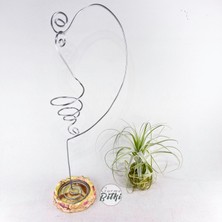 Gardneri Swing Stand - Hava Bitkisi Airplant Tillandsia Aranjman