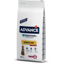 Advance Dog Sensıtıve Lamb & Rıce 12 kg Glstd