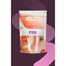 Freeze Dried Incir, Dondurularak Kurutulmuş Meyve Cipsi, Freeze Dry Meyve Kurusu 30GR