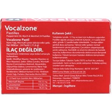 Vocalzone 24'lü Pastil