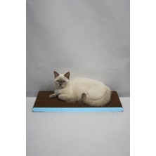 Kedi Tırmalama Kartonu (60X24 Cm) - Mdf Kenar