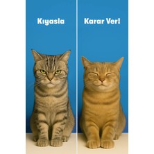 Biofeline Relax Paste 100 gr (Kedi Sakinleştirici Macun)