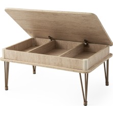 Venüs Dikdörtgen Gizli Bölmeli Orta Sehpa Sidon Desen Cappicino Metal Firkete Ayak